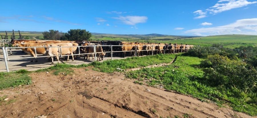 8 Bedroom Property for Sale in Mossel Bay Rural Western Cape